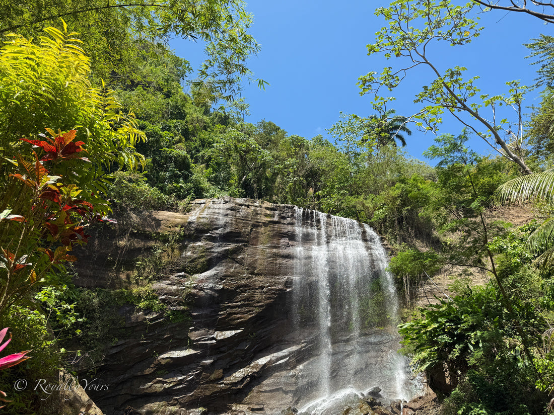 Discover Royal Mount Carmel Waterfall in Grenada!